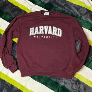 Champion Maroon Crewneck Sweater